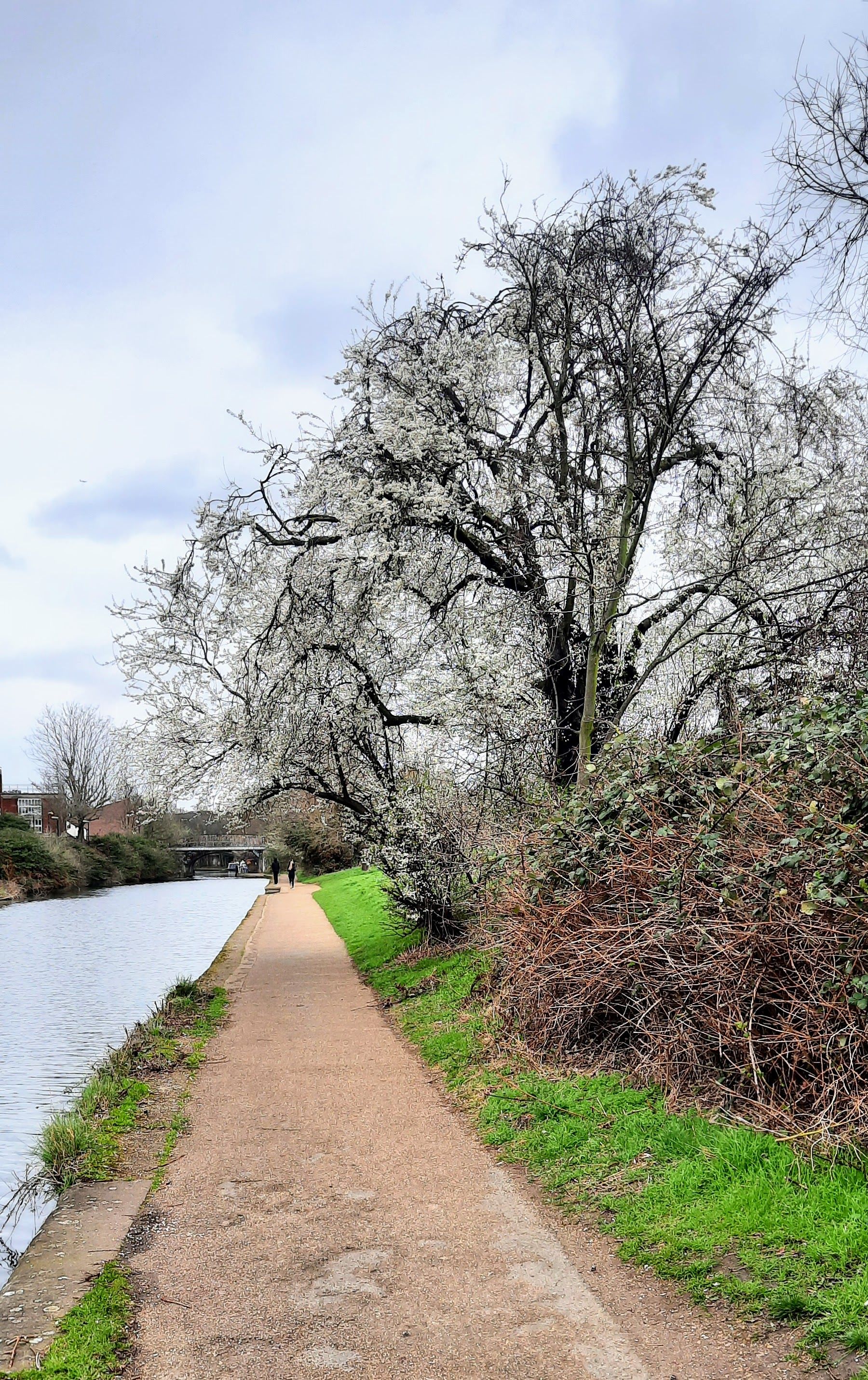 Regent's Canal